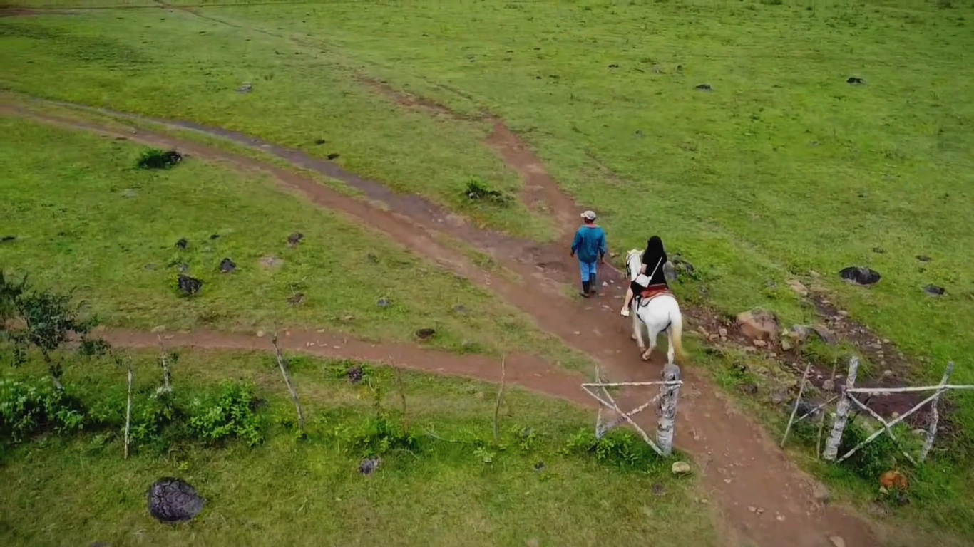 Video - Ranch 2